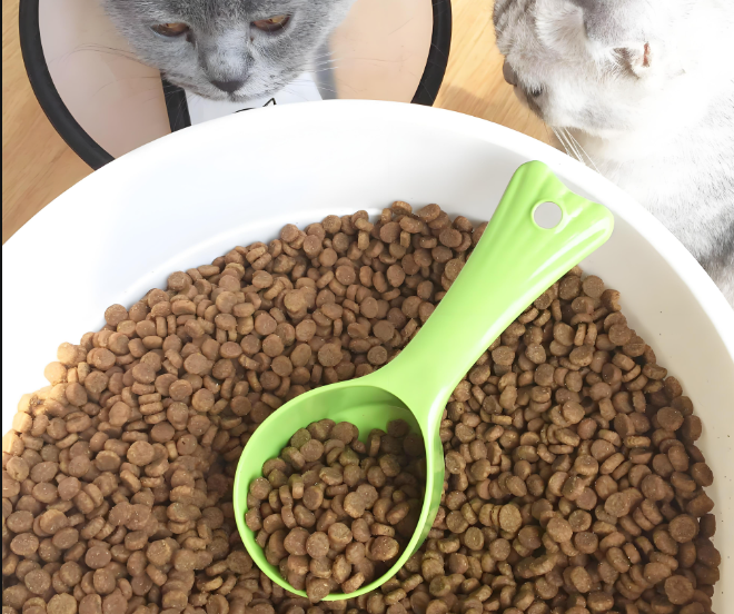 寵物食品檢驗測試服務：全方位守護寵物飲食安全！